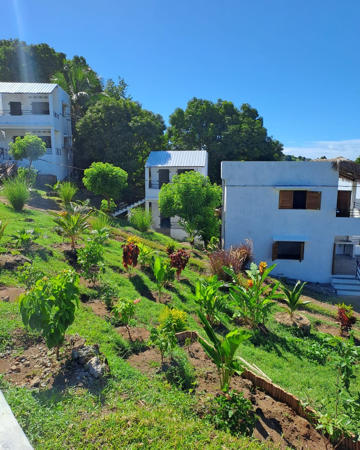 maisons individuelles